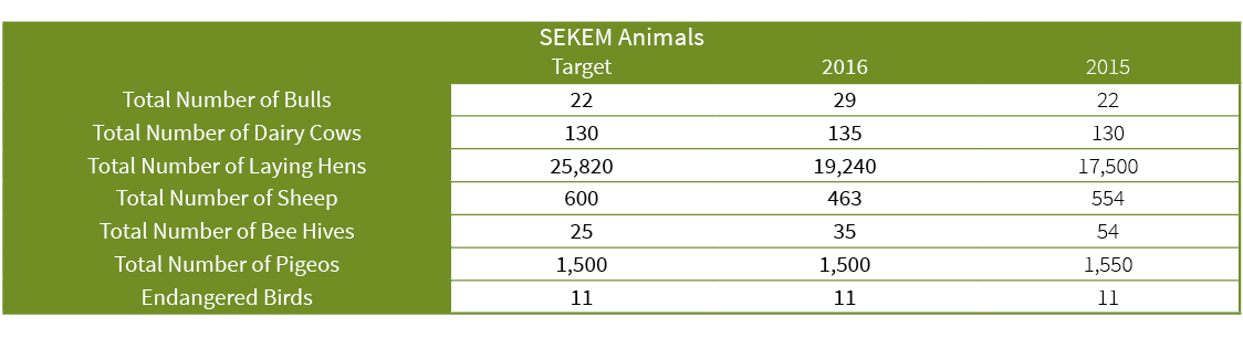 Ecological Indicators - Cattle - SEKEM Sustainability Report 2016
